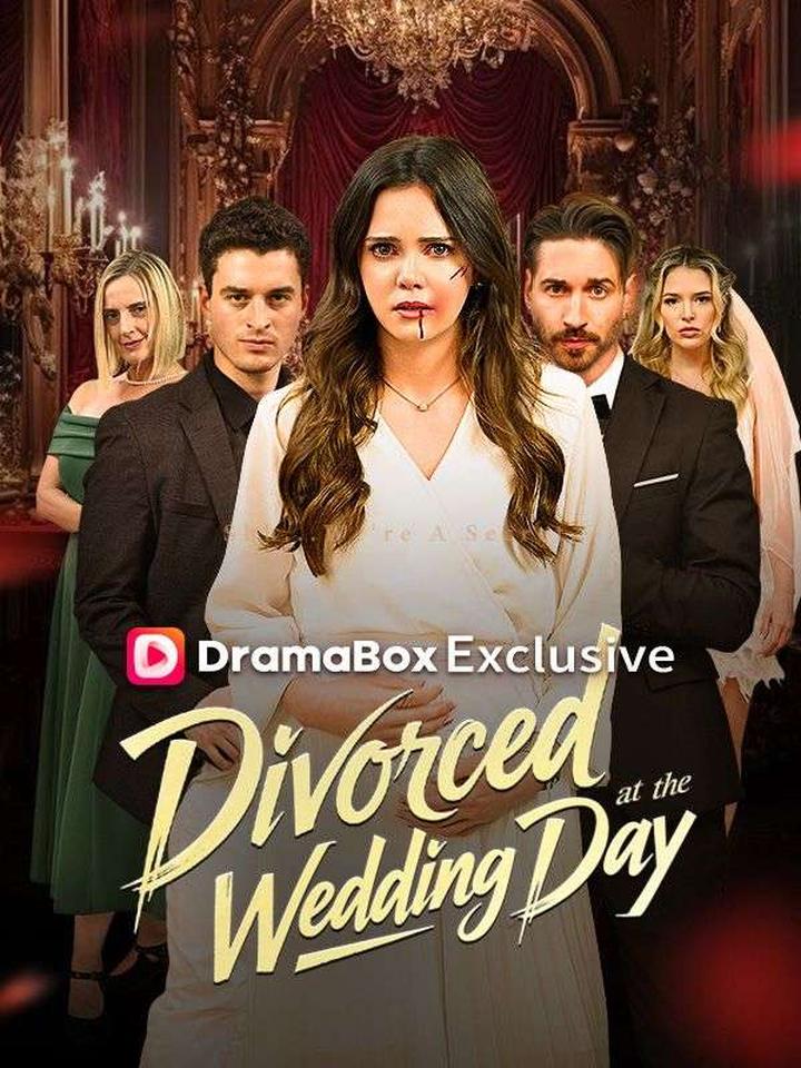 Divorced at the Wedding Day